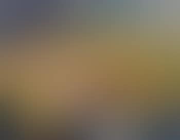 Le divan jaune (preview)