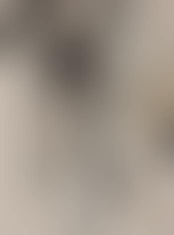 [Untitled] (preview)