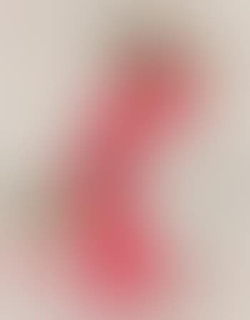 [Untitled] (preview)