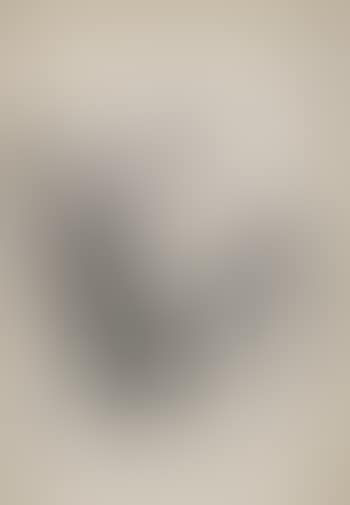 [Untitled] (preview)