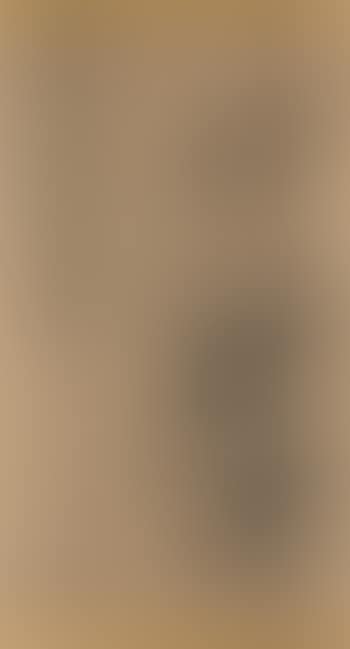 Bamboo (preview)