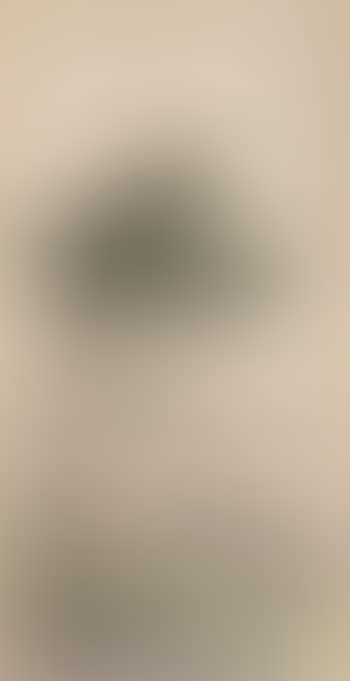 [Untitled] (preview)