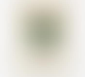 Dollarnoten (preview)