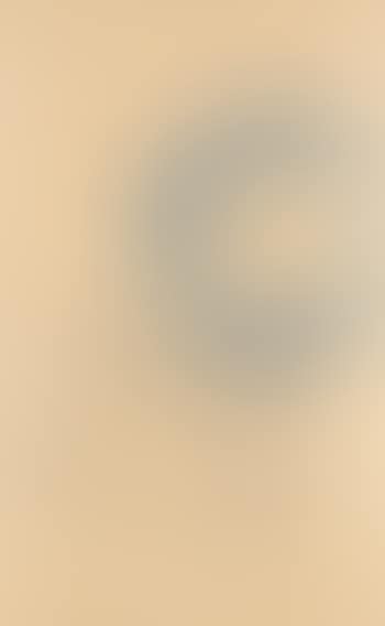 1 Wirtschaftswert (Gelatine). (preview)