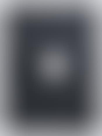 Painting Version 86 (Painting Version 1-90) (preview)