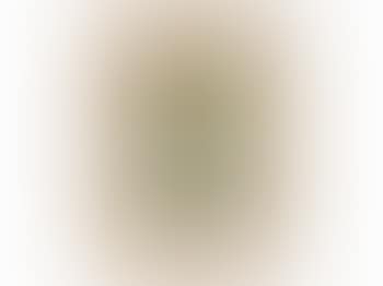 Untitled Still Life (preview)