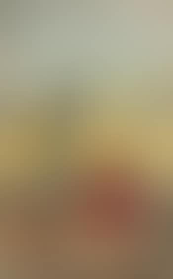 Chameaux (preview)