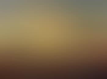 Paysage (preview)