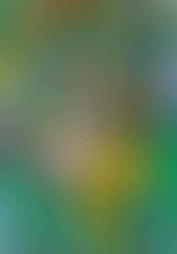 Jungle Fever (preview)