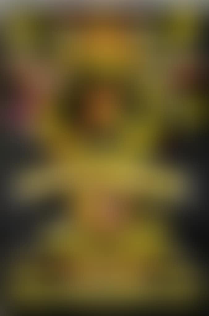 Psychedelic / Concerts (preview)