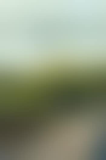 Landscape (preview)