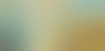 Rainbow in a sheepfield (preview)