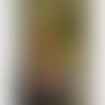 [Untitled] (preview)