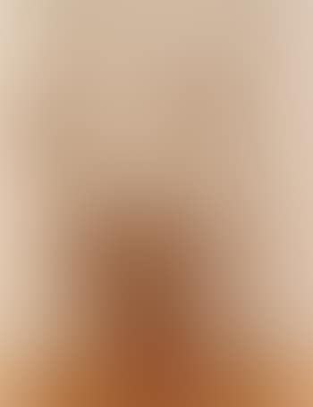 Violon de Venise (preview)