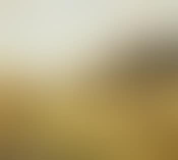 Sommer (preview)