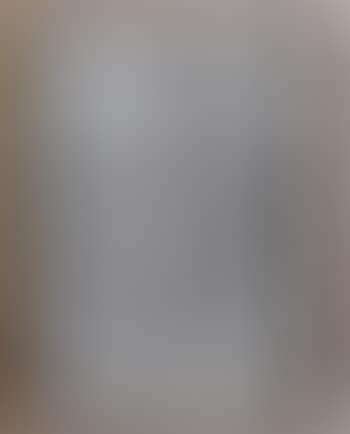 The annunciation (preview)