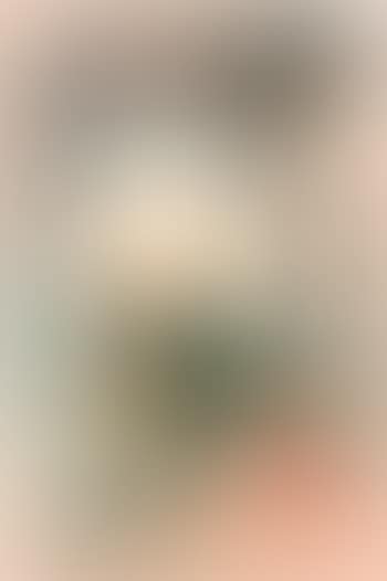 Udaipur (preview)