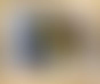 Abstract (preview)