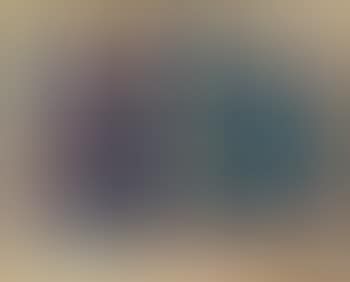 Abstract (preview)