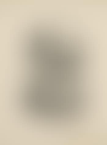 Fleurs dans un Verre n°6 (Frontispice au tome II de Picasso Lithographe) (Bloch 450; Cramer Books 58) (preview)