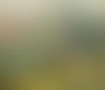 Paysage (preview)