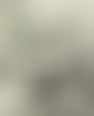 Katzen (preview)
