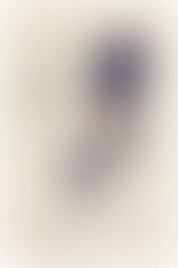 Femme au chapeau bleu (Nu et main en transparence) (preview)