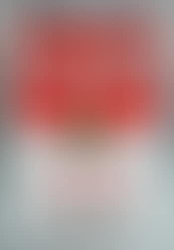 Campbell’s soup can 11.48 (preview)