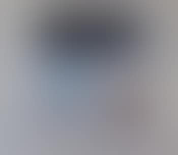 Abstract (preview)