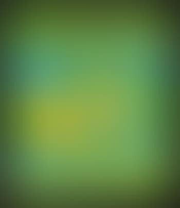 Brillo (preview)