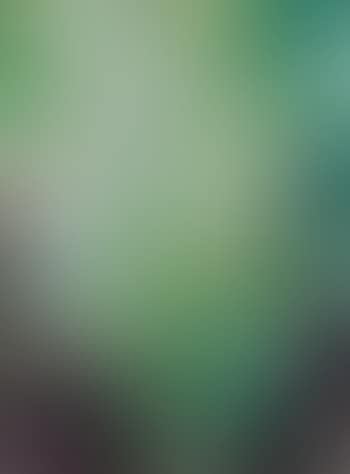 Sans titre (preview)