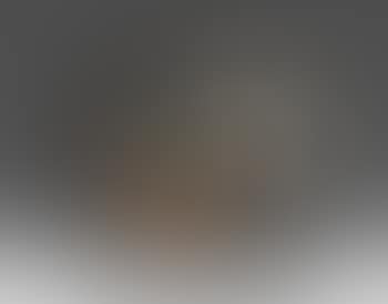 Stillleben (preview)