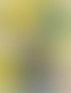 Blatt 4 aus: 'Album 19' (preview)
