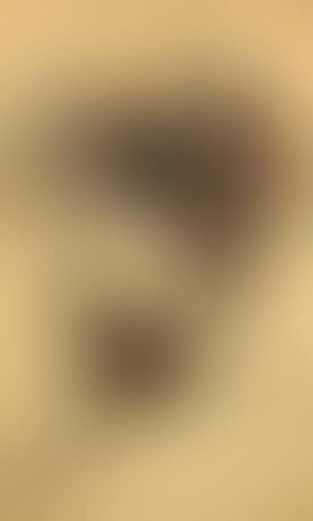 Two female faces (preview)