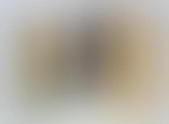 La Nescita degli Animali (preview)