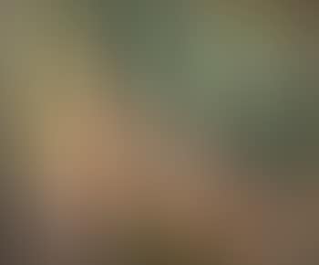 Abstraction (preview)