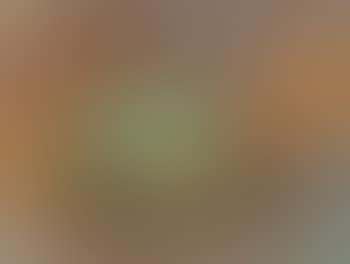 Abstraction (preview)
