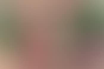 Abstraction (preview)