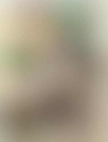 Abstraction (preview)