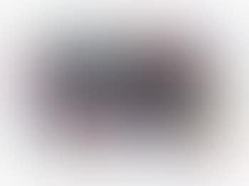 [Untitled] (preview)