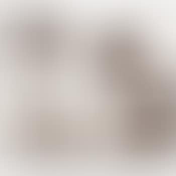 [Untitled] (preview)