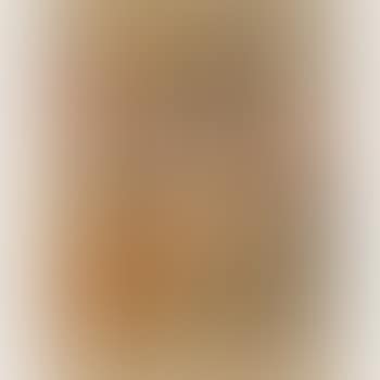 [Untitled] (preview)