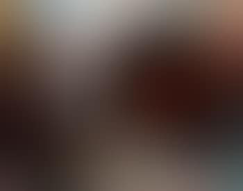 Untitled (Cat) (preview)
