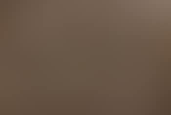 Inpainting (brown) (325/88) (preview)