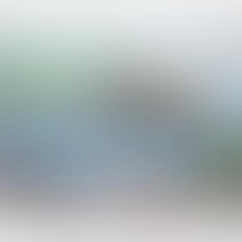Paisagem ,
2012 (preview)