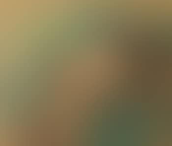 Esquisse pour un portrait de M. et Mme. Louis Rouart (preview)