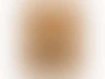 Perro De Goya (preview)
