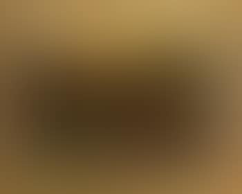 Cows at sunset (preview)