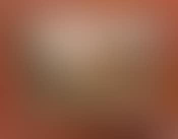 Hudson River View (preview)