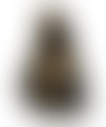 Sixth Portrait of Kathleen (preview)